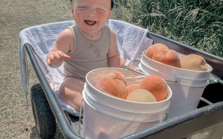 baby happily sitting in a wagon full of peaches