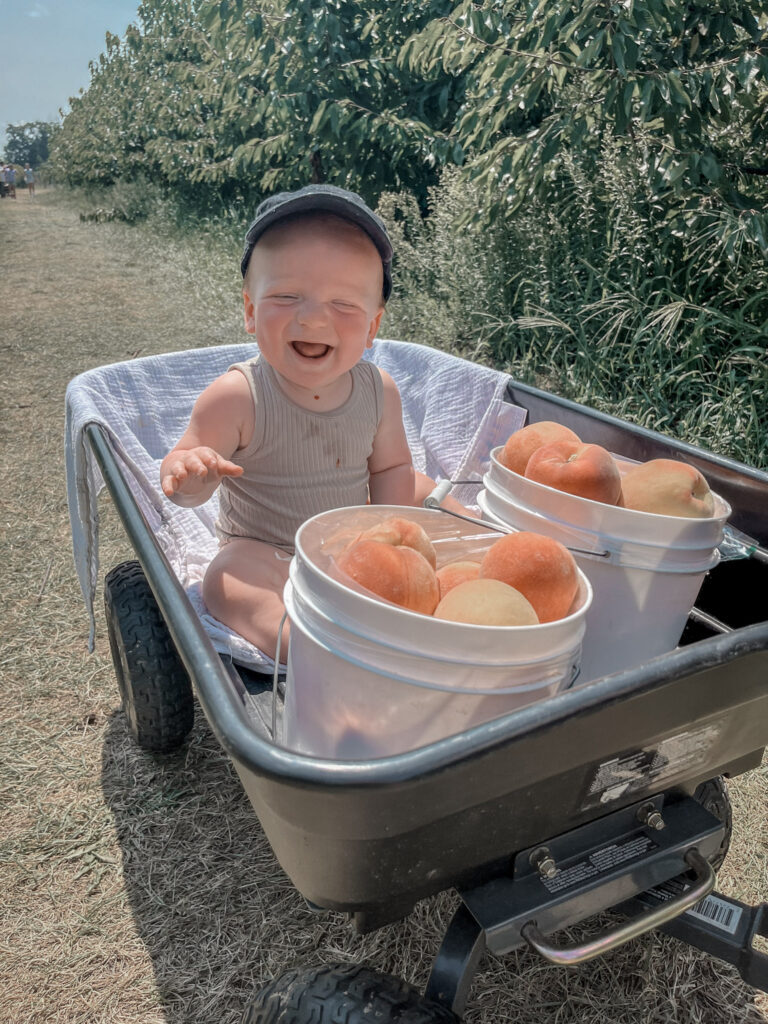 baby happily sitting in a wagon full of peaches 