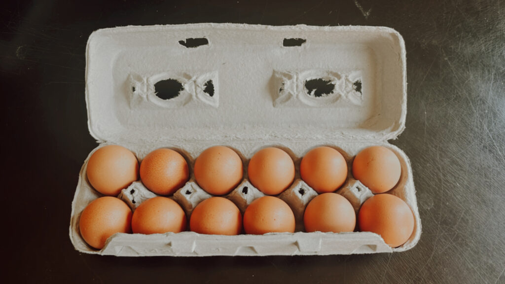 opened carton of 12 brown eggs