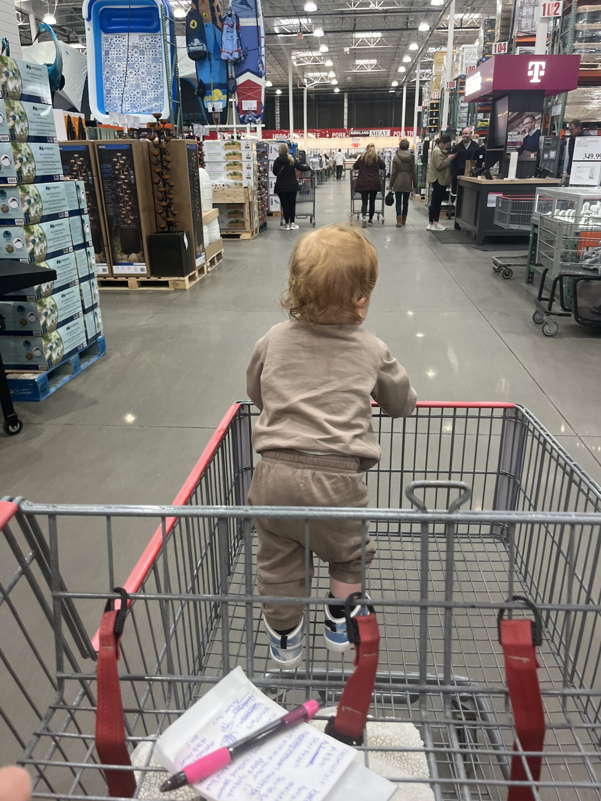 15 month old standing in the front of a Costco Cart