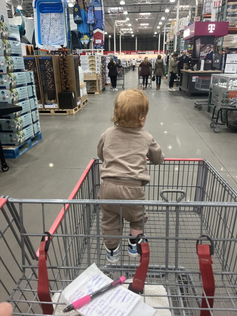 Toddler boy riding in Costco cart with back to camera
