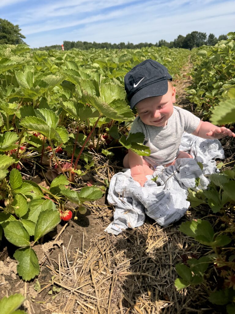 Cute baby picking strawberries